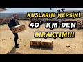 40’KM DEN KUŞLARI SALDIM KAÇ EKSİK VAR!!!