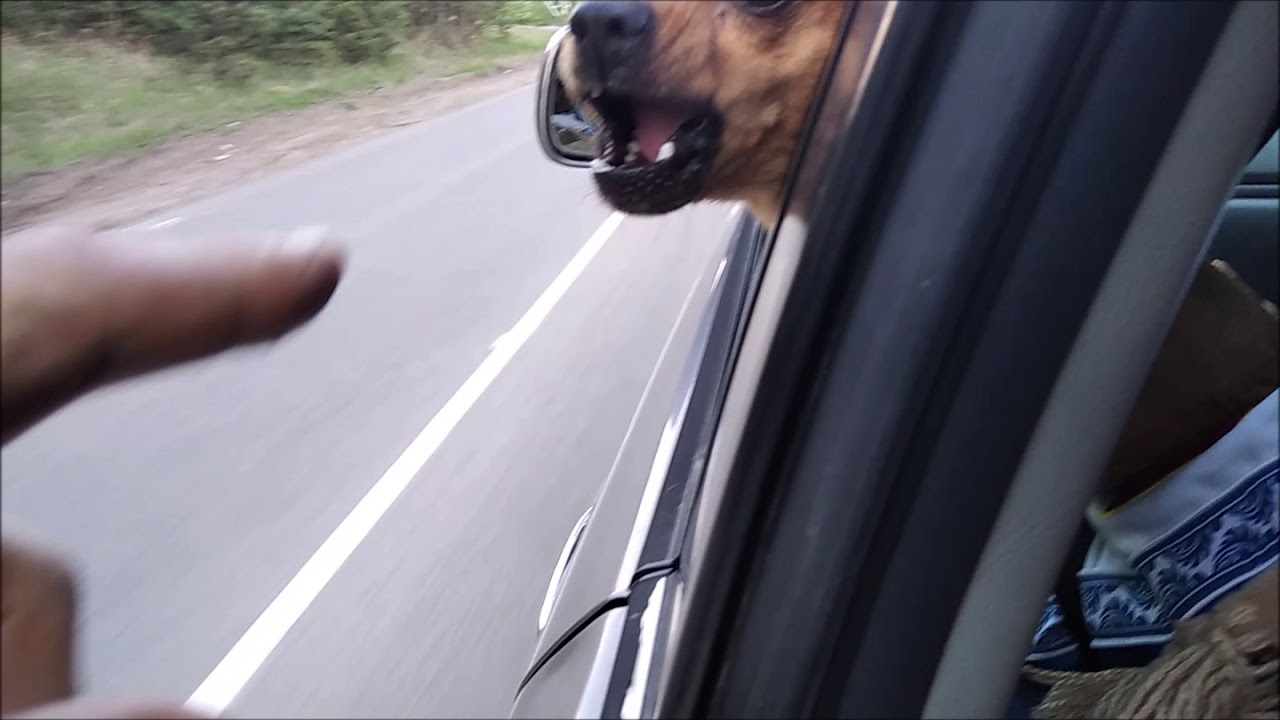 Не люблю водить машину Не люблю водить машину
