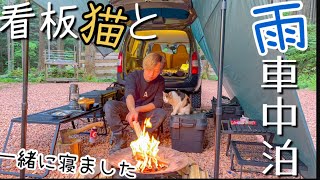 キャンプ場の看板猫と車中泊ソロキャンプ【雨キャンプ】