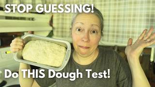 Before You Bake: The Simple Dough Test Every New Sourdough Baker Needs