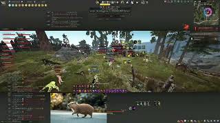 BDO Archer Node War[05]
