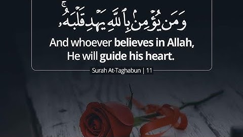 سورة التغابن / القارئ صلاح الباجي