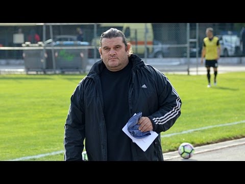 Δηλώσεις Ρίζου -