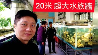 20m huge aquarium wall Taiwan native fish stocking record