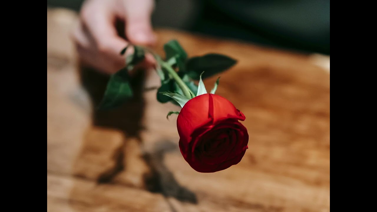 IM PROUD OF YOU!✝️❤️KINGDOM SPOUSES👩🏾‍❤️‍💋‍👨🏾💍🌈