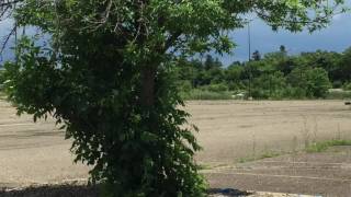 Joyriders on four-wheelers at former Rolling Acres Mall