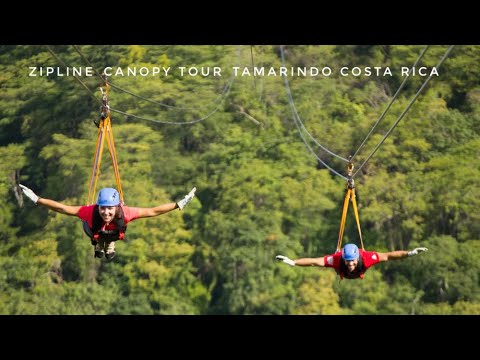Video: Panduan Perjalanan: Berselancar Dan Memancing Tamarindo, Kosta Rika - Matador Network