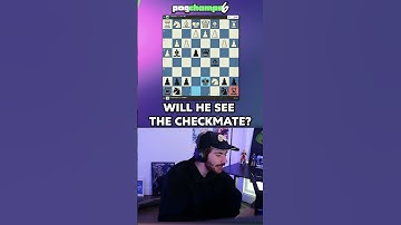 Will Sapnap see the mate? 😬