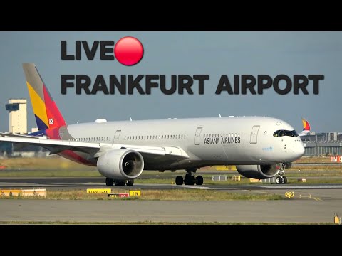 LIVE🔴 Frankfurt Airport | after work Planespotting | 25 Betrieb🛫☀️