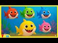 Baby Shark Doo Doo Doo | Nursery Rhymes & Kids Songs | Tune Time with Tim