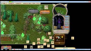 Light Wizard Reverb UO: Speed Hack