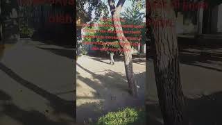 Download Lagu maaf jendral.negri ini menjerit keadilan. MP3