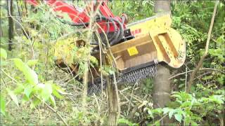 SEPPI M. - MINI BMS - mulcher for excavator / trinciatutto per escavatori / Baggermulcher
