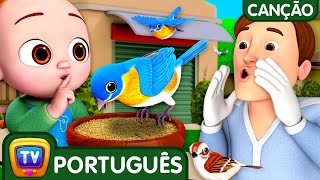 Música para ajudar o papai - Helping Daddy Song – Música das cores para crianças – ChuChuTV