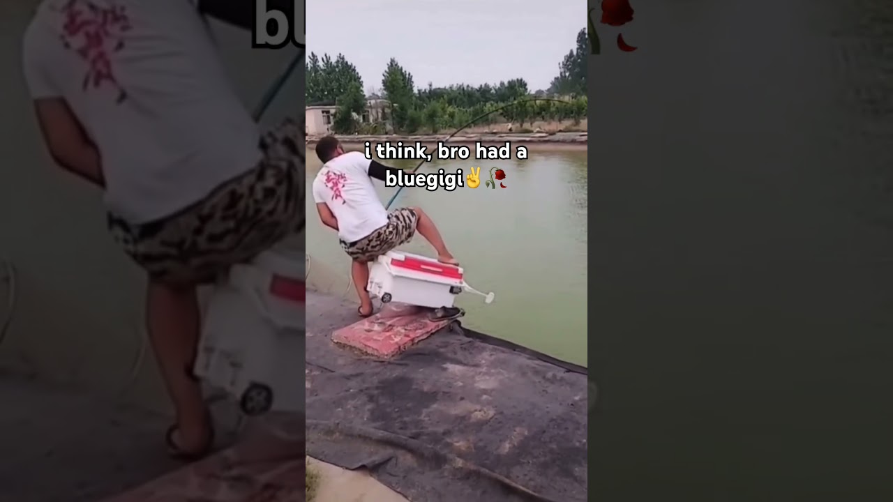 bluegigi #fishing #fishingvideo #fishinglife #fishingshorts #shorts #fisherman #bassfishing #fyp