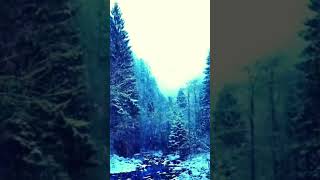 #focus #meditation #relaxation #deepsleep #serenesnowfall #blizzardbliss #whispersofwinter #scenery