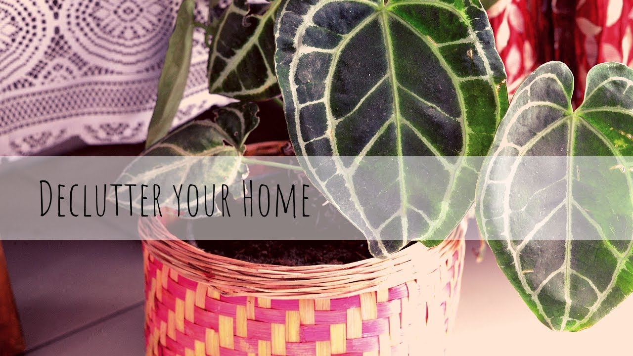 15 Days Of Decluttering Your Home With Me | Indian Home Organisation