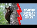 Bearish Gartley Pattern Rules
