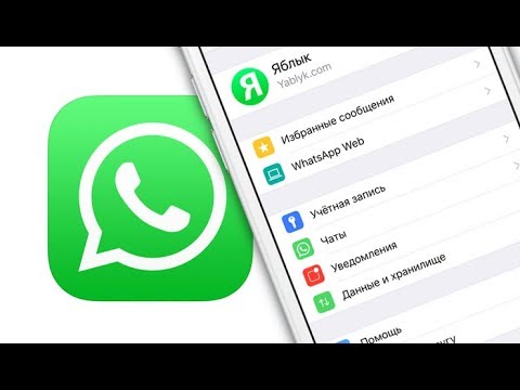 Видео: WhatsApp iPhone-г хэрхэн онлайн байлгах вэ?