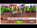 அலங்காநல்லூர் ஜல்லிக்கட்டு 01 | Alanganallur Jallikattu 2018 | News 7 Tamil