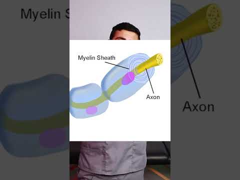 علاج تنميل وضعف والتهابات الاعصاب في اليد والقدم والظهر