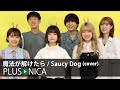 魔法が解けたら / Saucy Dog (cover)