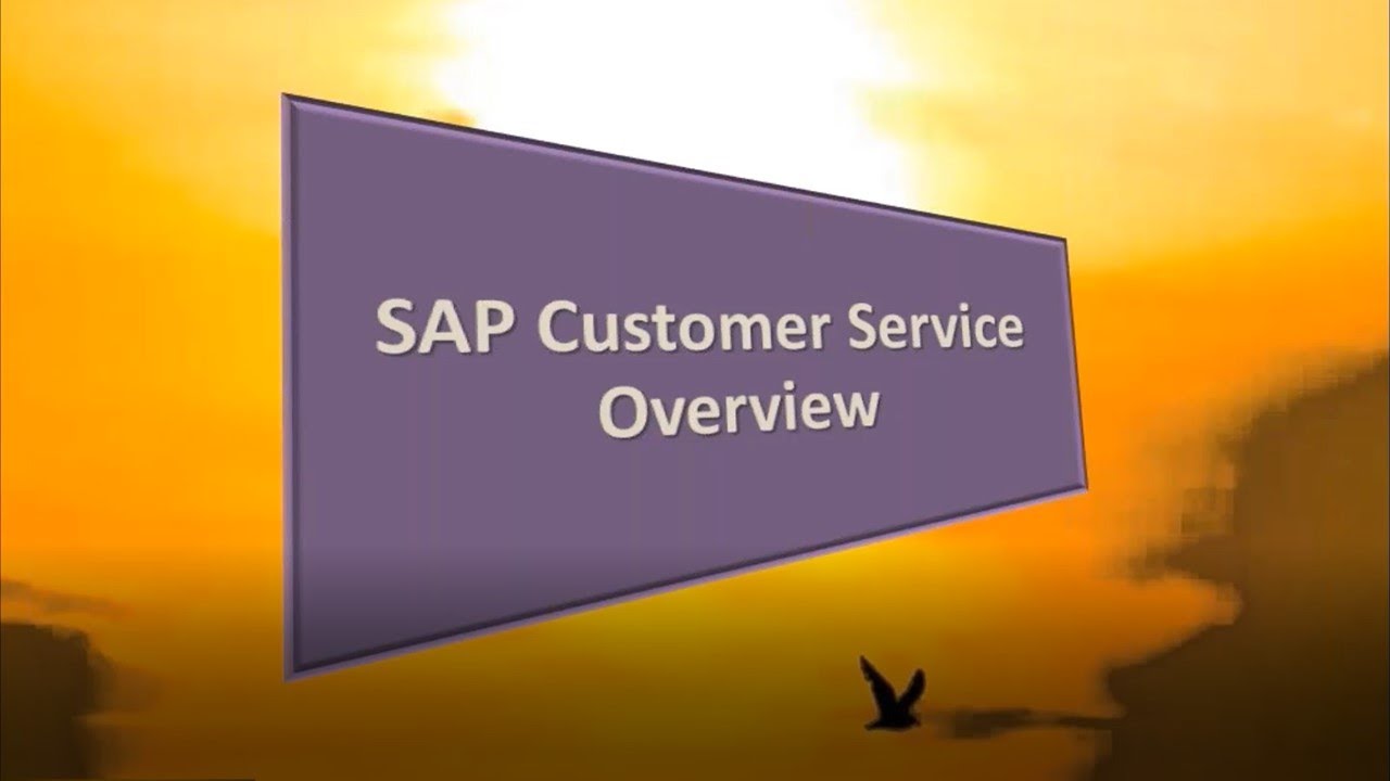 SAP Customer Service Overview YouTube