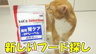 猫の新しいフード探し！　ベッツセレクション腎ケアを試食