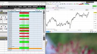 Exploring LMAX Demo Platform and their Charting Package.