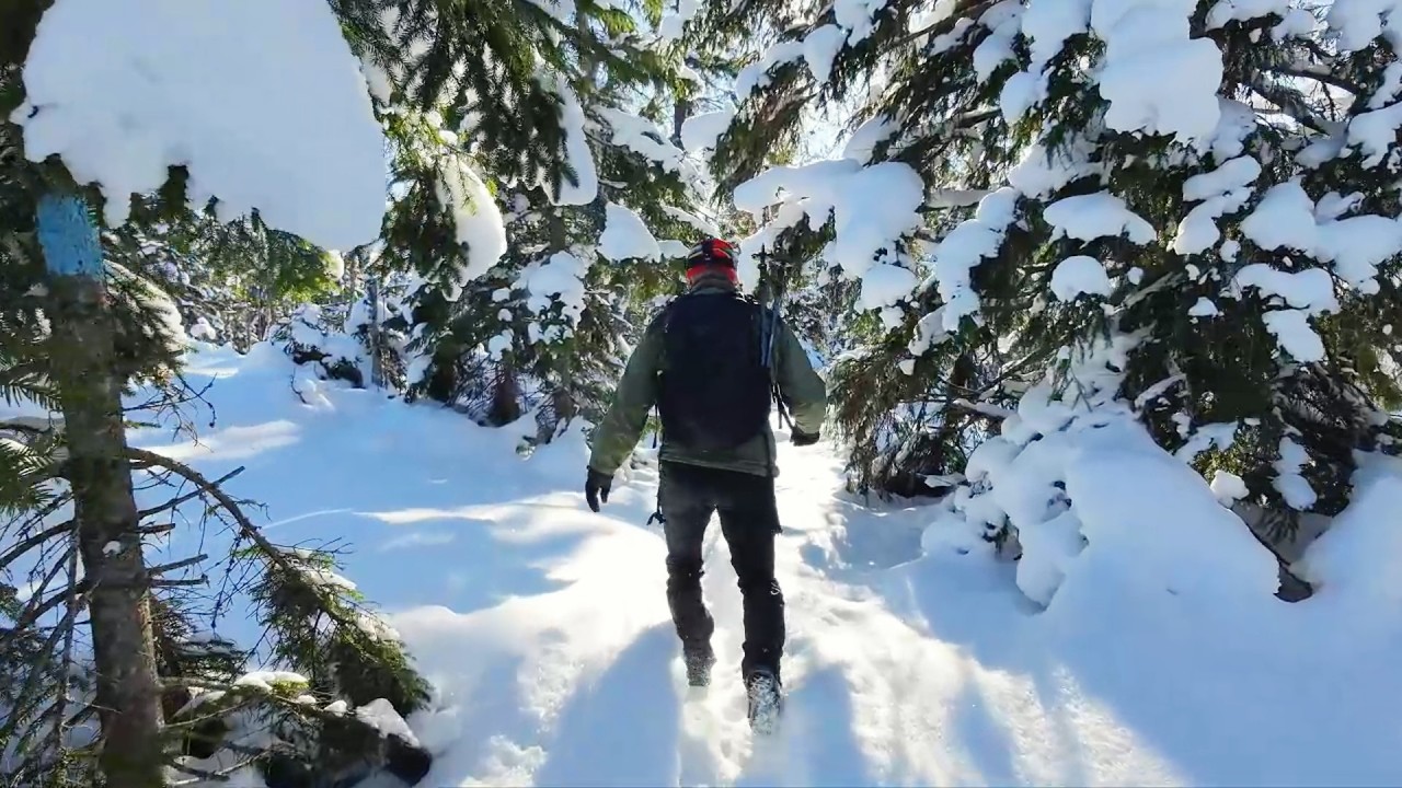 Hiking in the Norwegian winter forest and frozen lake part 2