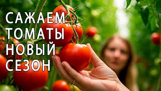САЖАЕМ ТОМАТЫ. НОВЫЙ СЕЗОН ОТКРЫТ ! #томат #помидор #семена #давайтедружитьогородами