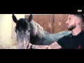 Pasión por los caballos / Passion for horses