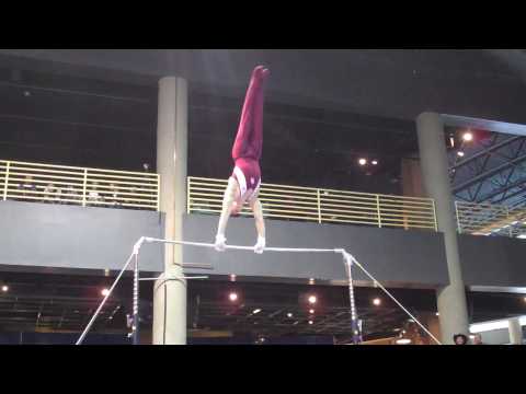 Chris Brooks - High Bar - 2010 Winter Cup - Day 1