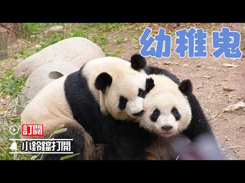 《熊貓早晚安》我媽媽就是這樣幼稚又黏人 | iPanda熊貓頻道