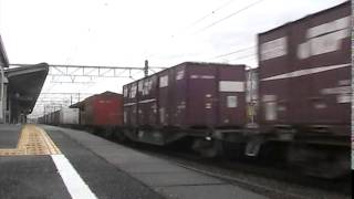 遅れ1060レ 牽引機ef210-13 三島駅通過