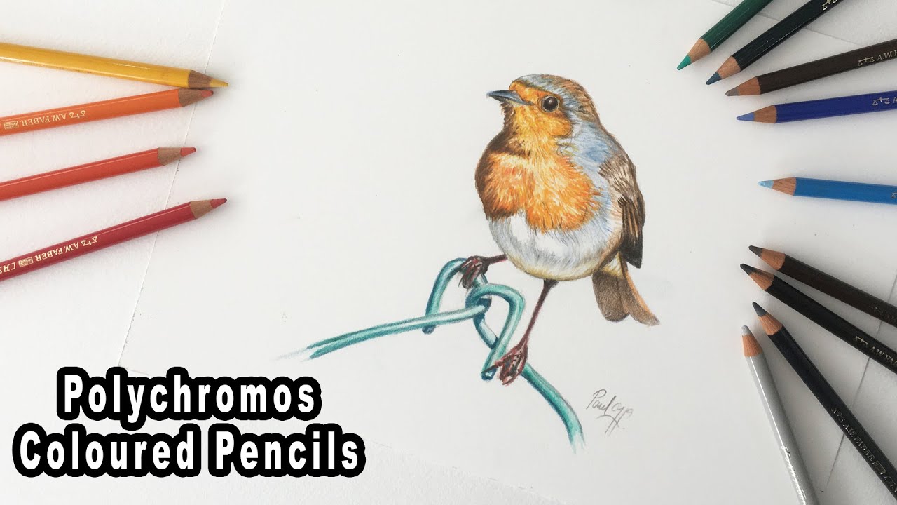 Coloured Pencil Tutorial using Polychromos - A Beautiful Robin on a Fence 