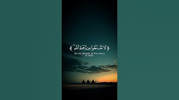 أكتب شيء تؤجر عليه ❤️😴قارئ|أشرف اللحجي|لا تقنطوا من رحمة الله #المصحف #قران_كريم #الرحمن #راحة_نفسية
