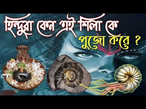 ভিডিও: নদীর শিলায় কি শক্তি আছে?