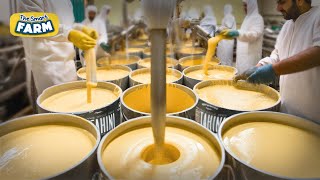 Tahini Sauce Factory: Making Process From Sesame Seeds to Tahini, Sesame Oil, Halva | How it's made