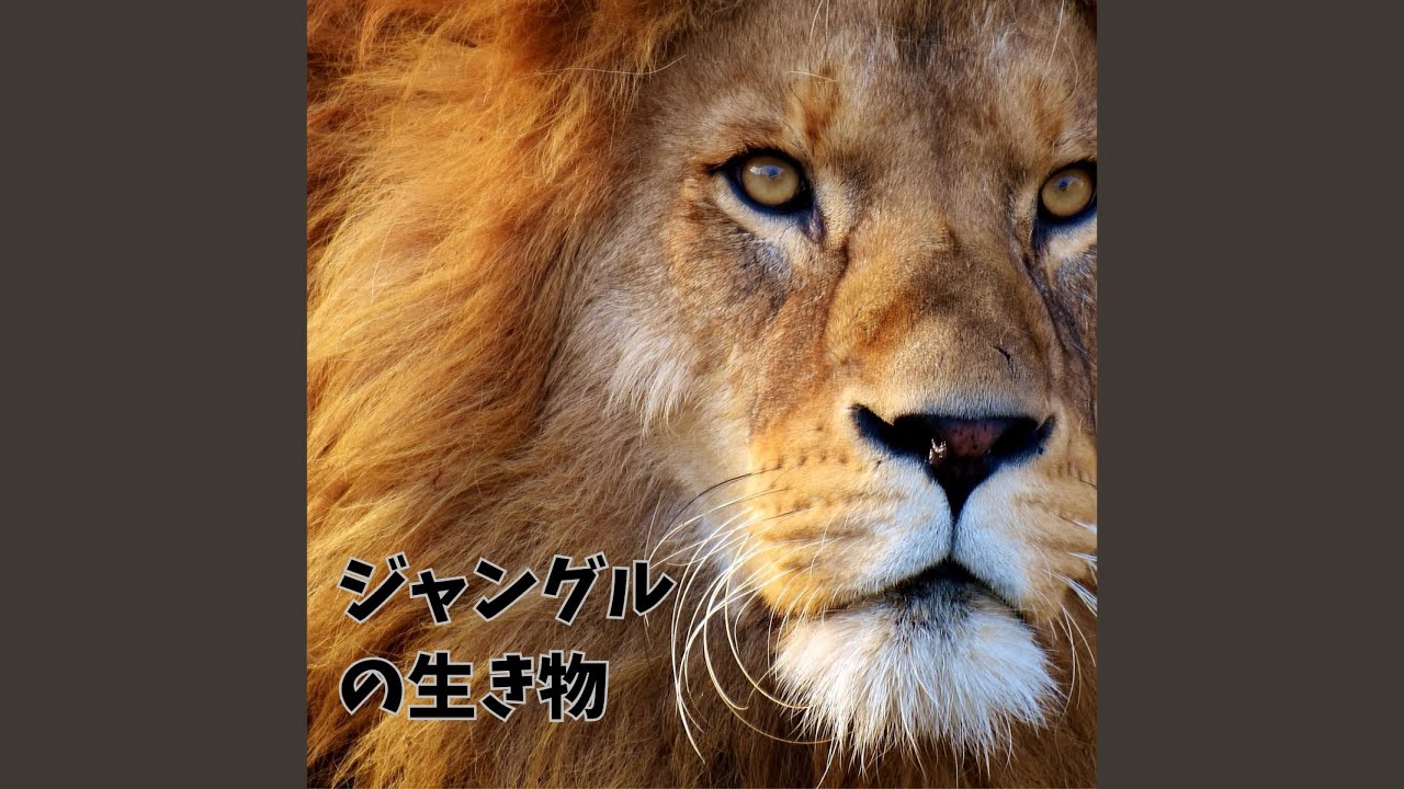 秘密の森のヘビ