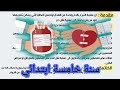 تعبير جاهز حول التبرع بالدم سنة خامسة ابتدائي الفصل الثاني 
