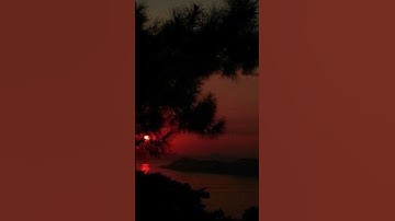{قال اخرج منها مذءوما مدحورا لمن تبعك منهم لأملأن جهنم منكم أجمعين}سورة:الأعراف ♡