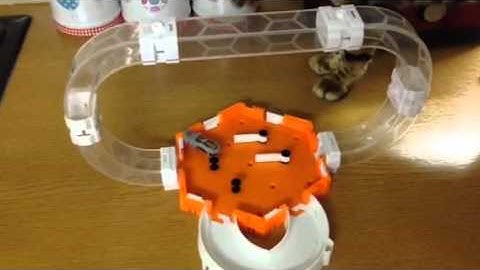 The Hex Bug Nano V2 Gravity Loop