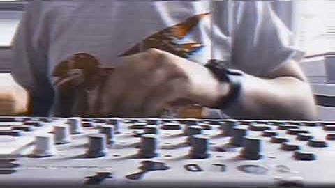 Polyend Medusa - Elektron Model Samples - Elektron Model Cycles - Novation Mono Station