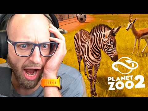 Vores Første Zebra Føl!