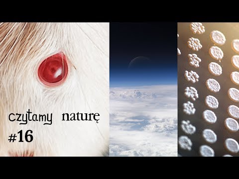Wideo: Co można znaleźć w egzosferze?