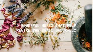 5 Powerful Herbs That Help Rewire the Brain Naturally