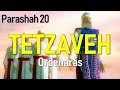 Vestiduras Santas y la Cobertura de la Cabeza | Parashah 20.- Tetzaveh (Ordenarás)