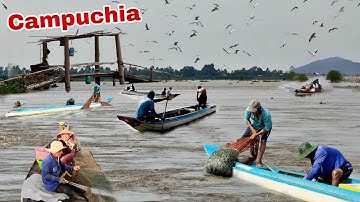 Nước bất ngờ rút mạnh Xóm Việt Kiều Campuchia nghề đóng đáy đánh bắt cá đồng mùa nước rút 