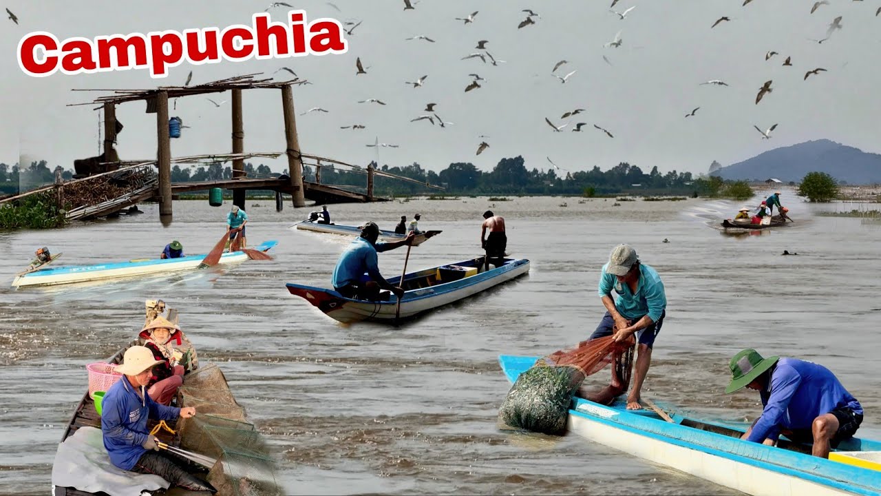 Nước bất ngờ rút mạnh Xóm Việt Kiều Campuchia nghề đóng đáy đánh bắt cá đồng mùa nước rút 
